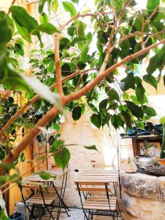 Fusion Homestay Accommodation - Mosta - 7