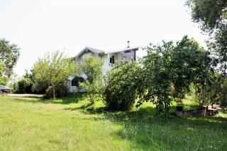 WOODEN HOUSE - Preveza - 9
