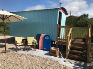 Shepherd's Hut - Bridgend - 9