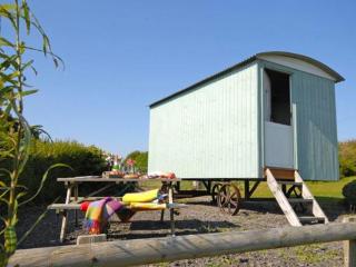 Shepherd's Hut - Bridgend - 5
