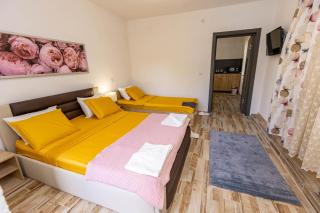 APARTEMENT VIVA - Sandanski - 7