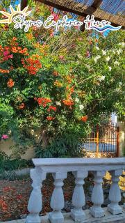 Skyros Euphoria House - 1