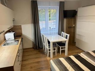 Apartmány u pláže Lipna - Riviera - Lipno nad Vltavou - 8