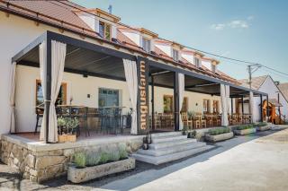 Pension Angusfarm - Soběsuky - 9