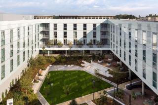Hyatt Centric Cambridge - Cambridge - 8
