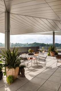 Hyatt Centric Cambridge - Cambridge - 6