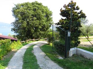 Ville in uliveto vista lago - VILLA CASALIVA - Pulciano - 8