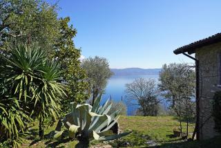 Ville in uliveto vista lago - VILLA CASALIVA - Pulciano - 3