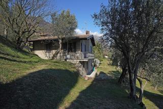 Ville in uliveto vista lago - VILLA CASALIVA - Pulciano - 2
