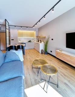 LAGUNA Ogrody Pieniawskie 18 SAPPHIRE VIP z tarasem - Polanica-Zdrój - 4
