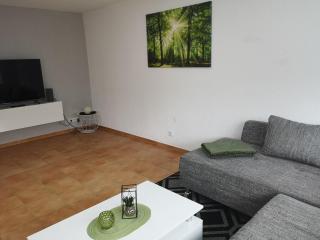3 Zi Ferienwohnung mit Erholungsfaktor Schwarzwald Bodensee - Aldingen - 6