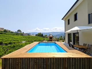 Casa da Milinha - Villa with a Pool near Rio Douro - Santa Cruz do Douro - 9