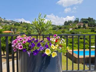 Casa da Milinha - Villa with a Pool near Rio Douro - Santa Cruz do Douro - 5