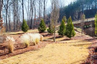 Home2 Suites By Hilton Alpharetta, Ga - Alpharetta - 6