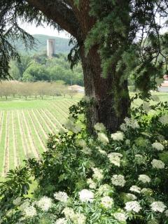 Castel Rouge - 9