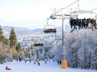 FeWo mit großer Sonnenterrasse - Winterberg - 1