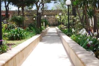 VILLA TERESA IRIS e Ibisco - Giovinazzo - 6
