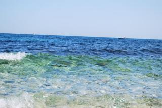 VILLA TERESA IRIS e Ibisco - Giovinazzo - 3