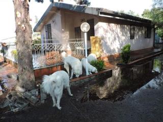 Etna Hiking House - Nicolosi - 1