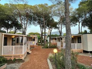 Camping I Melograni - Marina di Bibbona - 9