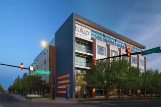 Tulyp, Tapestry Collection by Hilton - 0