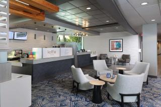 Tulyp, Tapestry Collection by Hilton - Holland - 8