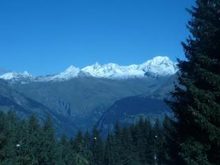 Studio ski aux pieds pour 5 pers, balcon, animaux admis - Les Arcs 1800 - FR-1-411-399 - Arc 1800 - 8