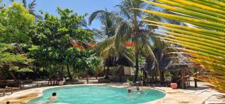 Mpole Bungalows - Michamvi - 8