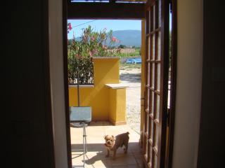 vacances en provence olivier - Mormoiron - 1
