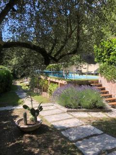 Villa piscine 30 minutes de Nice - 6