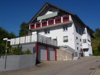 Ferienwohnung am Geißberg - Kleines Wiesental - 9