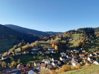 Ferienwohnung am Geißberg - Kleines Wiesental - 8