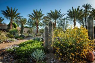 The Scottsdale Resort & Spa, Curio Collection by Hilton - Scottsdale - 7