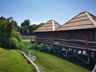 Senec vilka na jazere 2 - 3