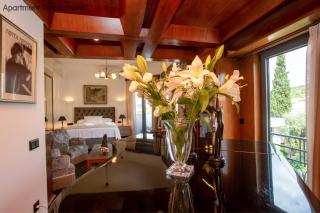 Calliope & Terpsichore by Heloni Apartments - Atene - 7