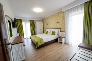 Evergreen Chalet - Avrig - 1