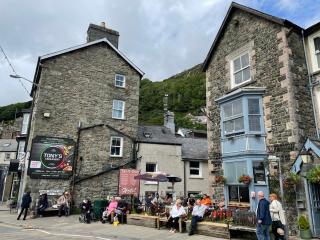 Glanywerydd Cottage - 2