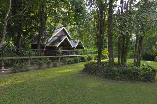 Khao Sok Riverside Cottages - 5