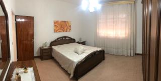 L'olivo di Piero - 3