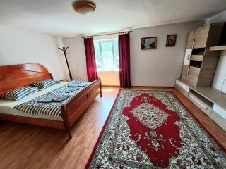 PENSIUNEA BOCA VORONET - 1