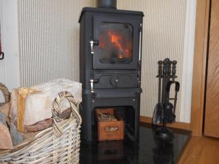 The Shepherds Hut - Carmarthen - 4