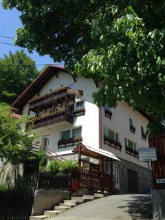 Vila Thomas - Sinaia - 0