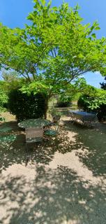 Aux berges du pont du gard - 1