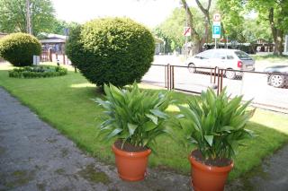 Pałacyk Srebrna Fala - Misdroy - 5
