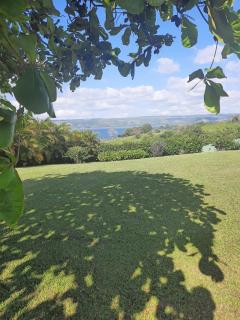 TOP RATED - Lake View Arenal Suite - 2025 Traveller Awards Winner - Tronadora - 1