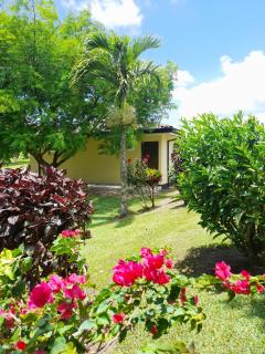 TOP RATED - Lake View Arenal Suite - 2025 Traveller Awards Winner - Tronadora - 0