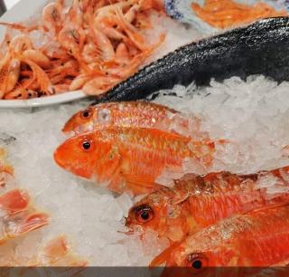 Lo Pagan Marina Center - 5