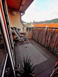 Stilvolle hochwertige Wohnung im Stadtzentrum - Jena - 5