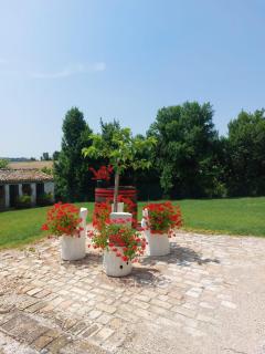 Casolare della Quiete - Corridonia - 8