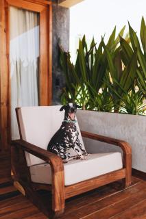 Naked Hotel Zipolite -Adults Only- - San Pedro Pochutla - 7